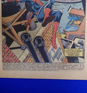 Amazing Spider-Man #134 (1974) - GD/VG (2.5-3.0) - 1st App. Tarantula, 2nd Punisher