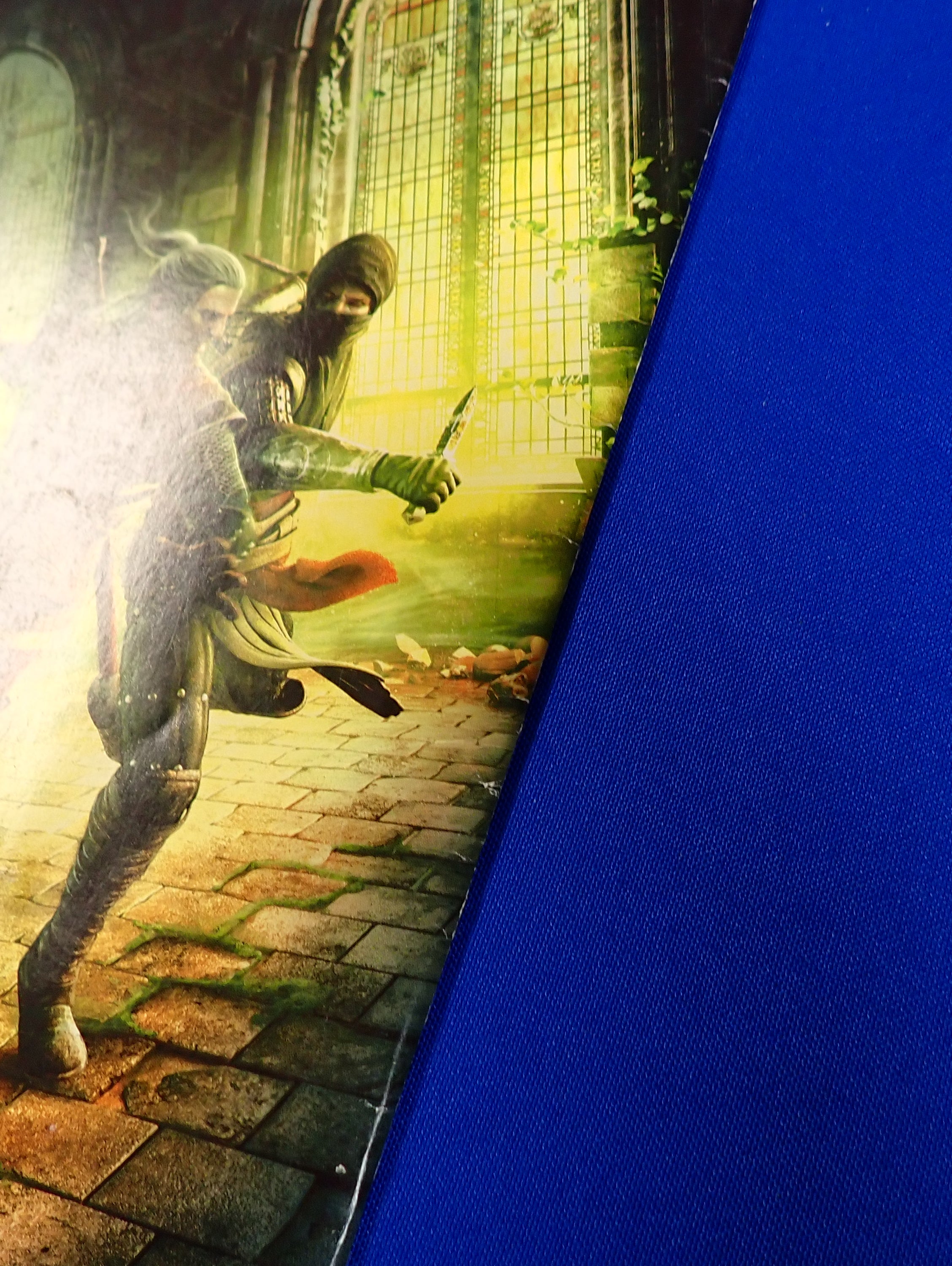The Witcher Comics: Limited Edition (2011) - VF- (7.5)