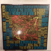 King Gizzard & The Lizard Wizard* – Live In Milwaukee '19