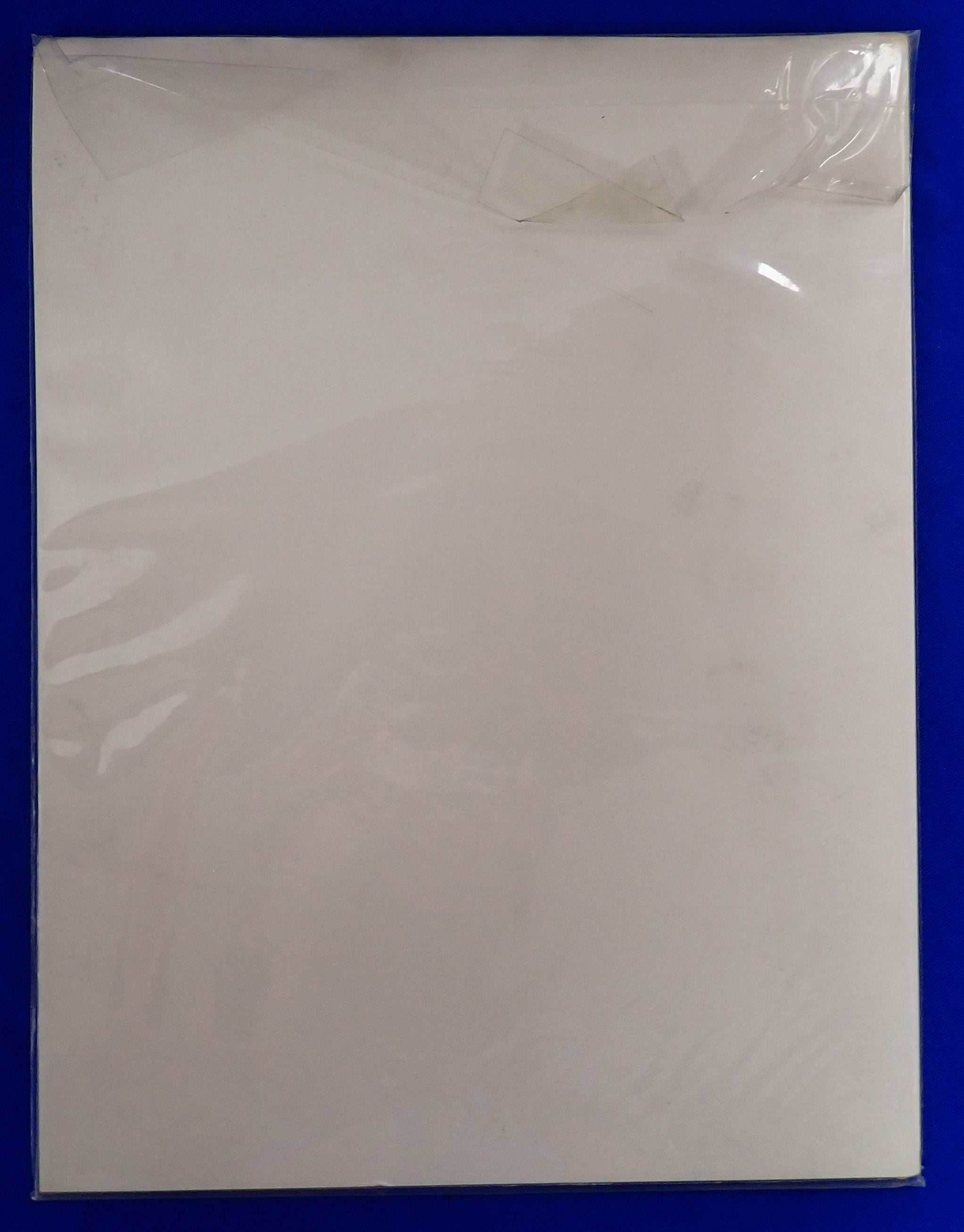 The Silver Surfer: Homecoming (Pre-Owned)