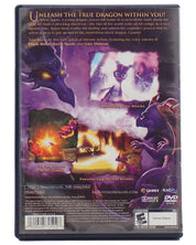 The Legend of Spyro A New Beginning - PS2
