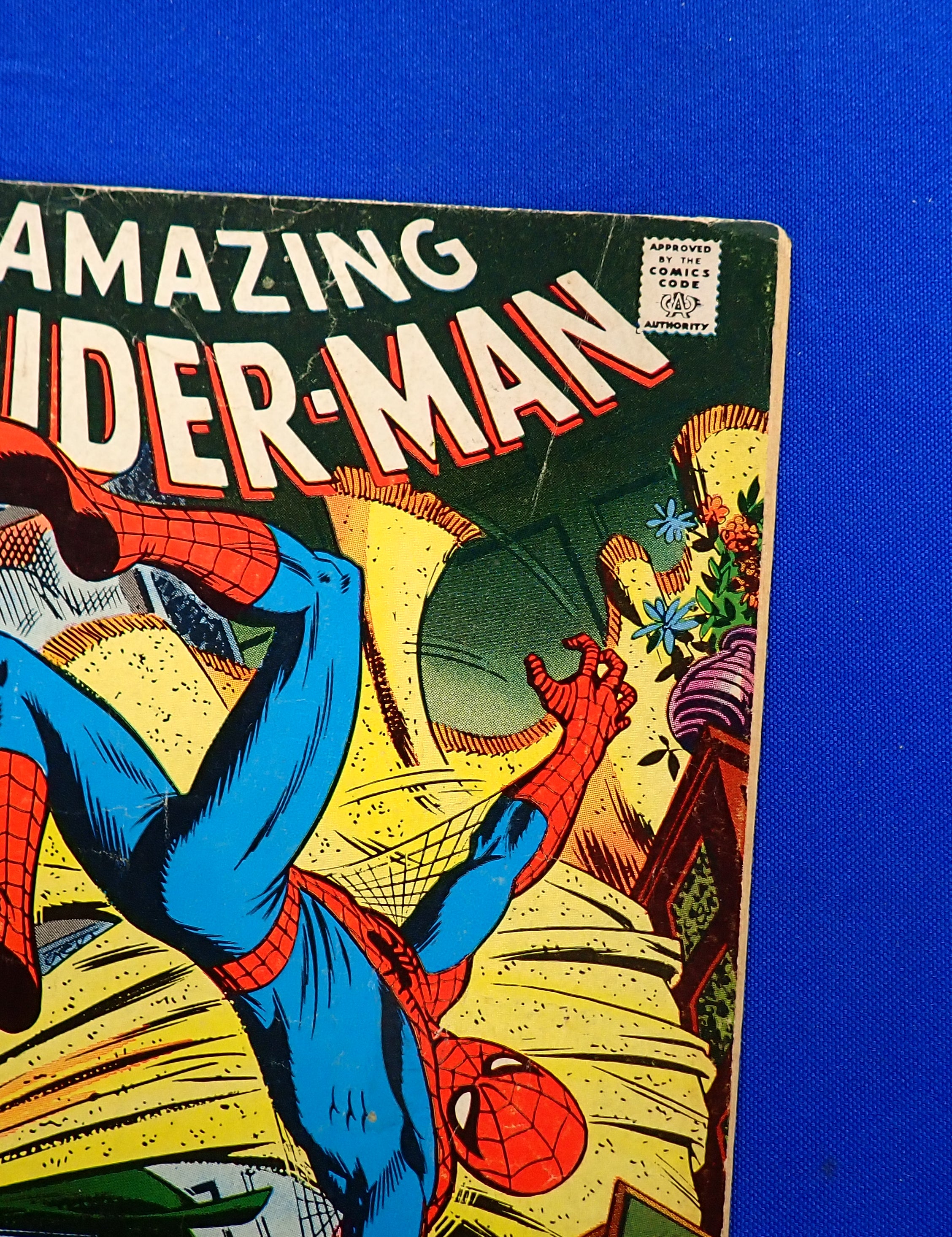 P5260152.jpg