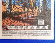 Conan the Barbarian #242 (1991) - VF/NM (9.0) - Jim Lee Cover Art