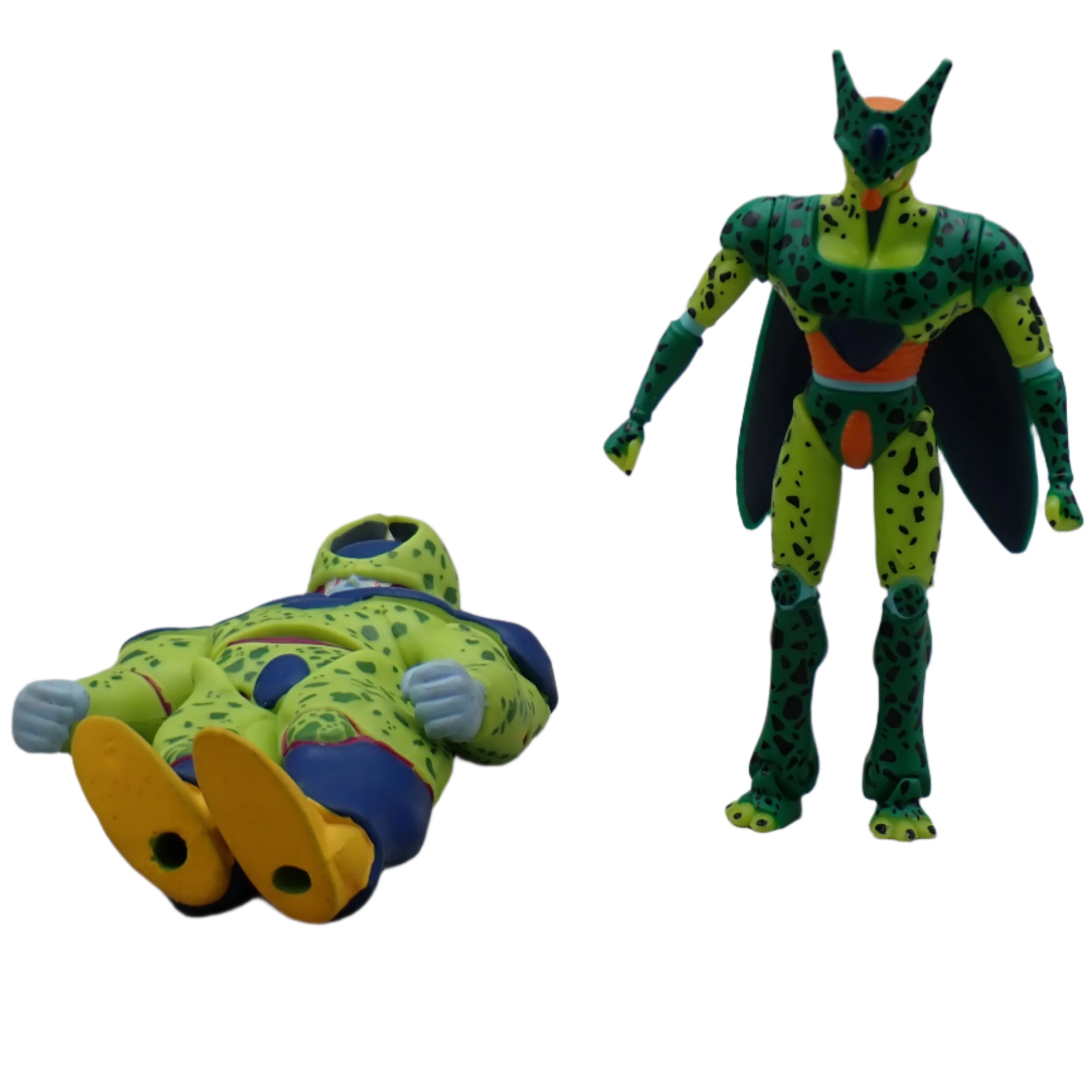 Cell Transformation - Toy