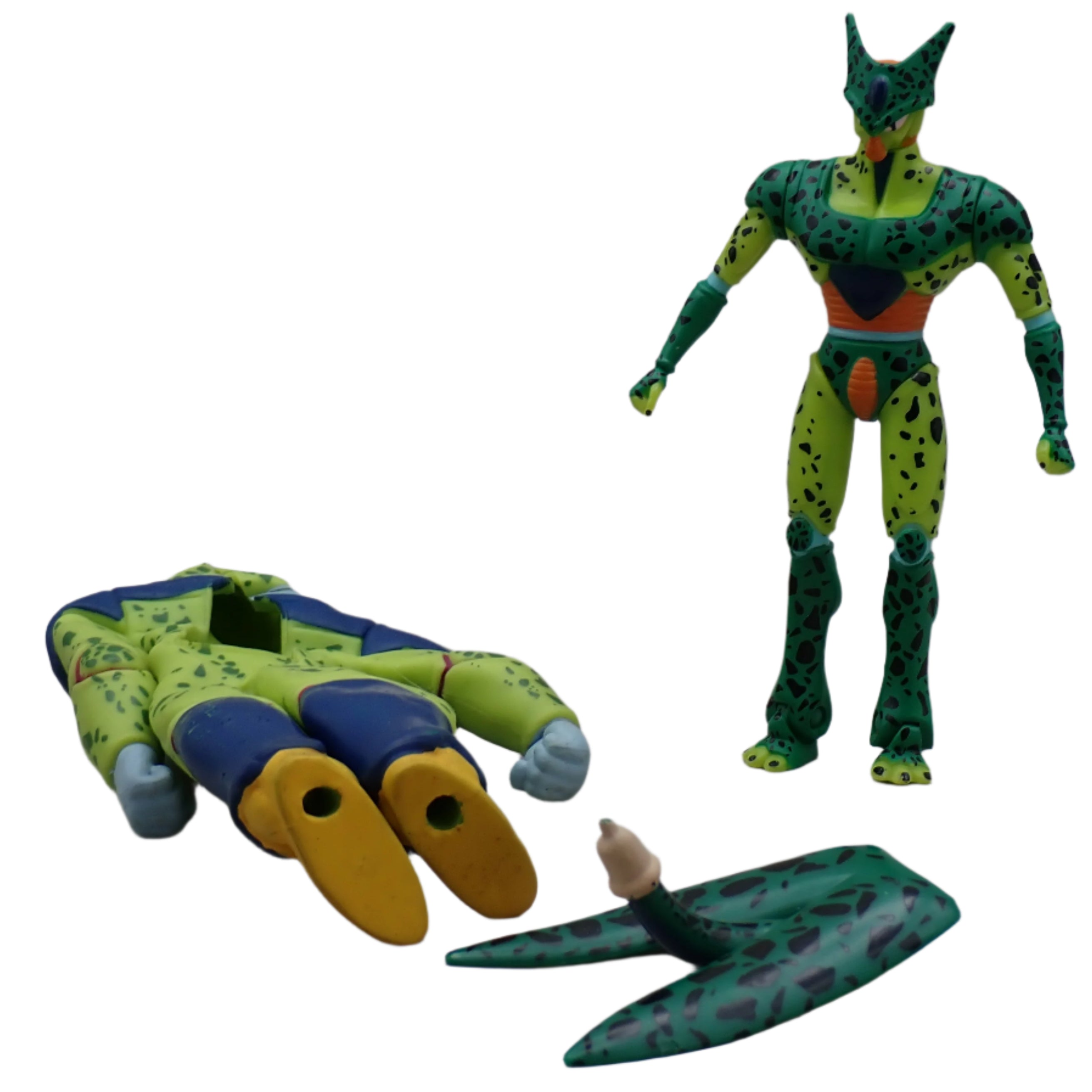 Cell Transformation - Toy