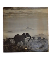 Elephant's Memory - Self Titled - Vinyl [Pre-Owned]