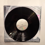 Pat Metheny Group – The Falcon And The Snowman