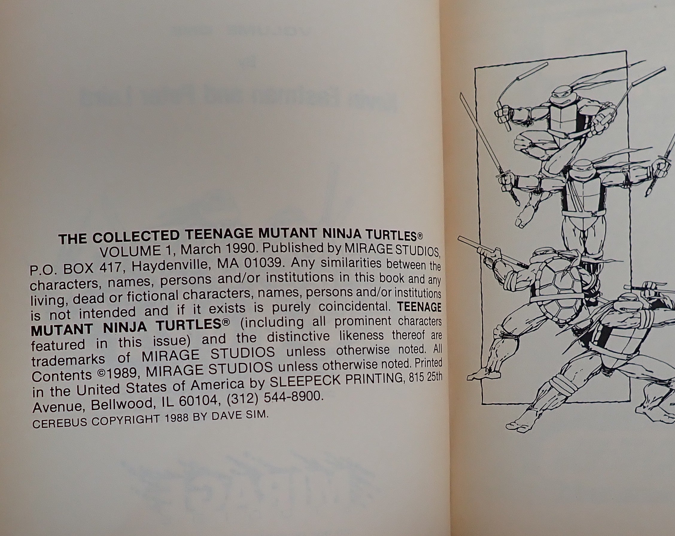 Teenage Mutant Ninja Turtles: The Collected Book Vol. 1 (1990) - Softcover TPB [Pre-Owned]