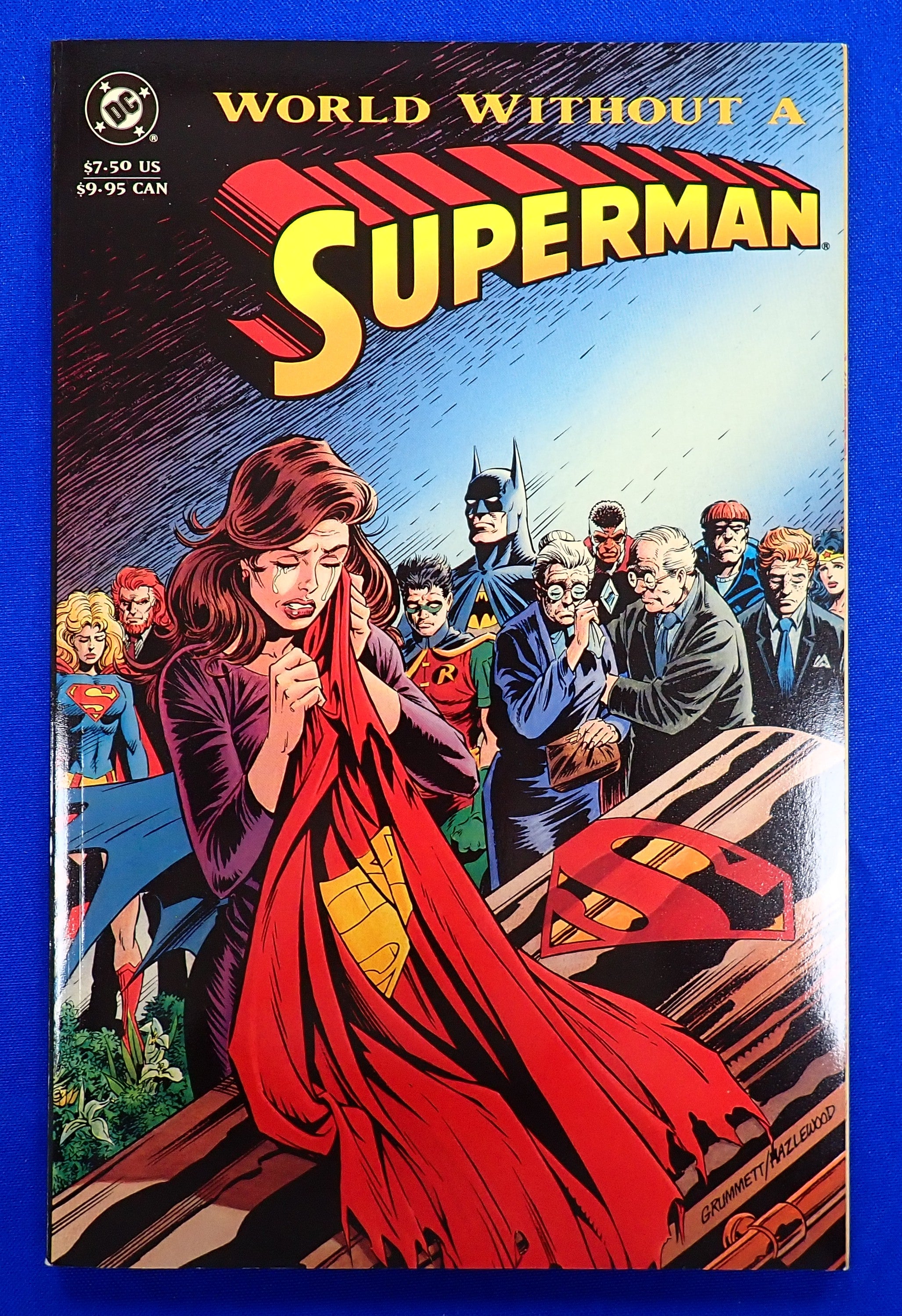 World Without a Superman - Softcover (Pre-Owned)