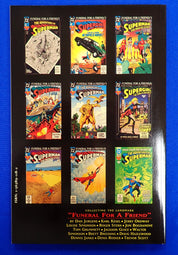 World Without a Superman - Softcover (Pre-Owned)