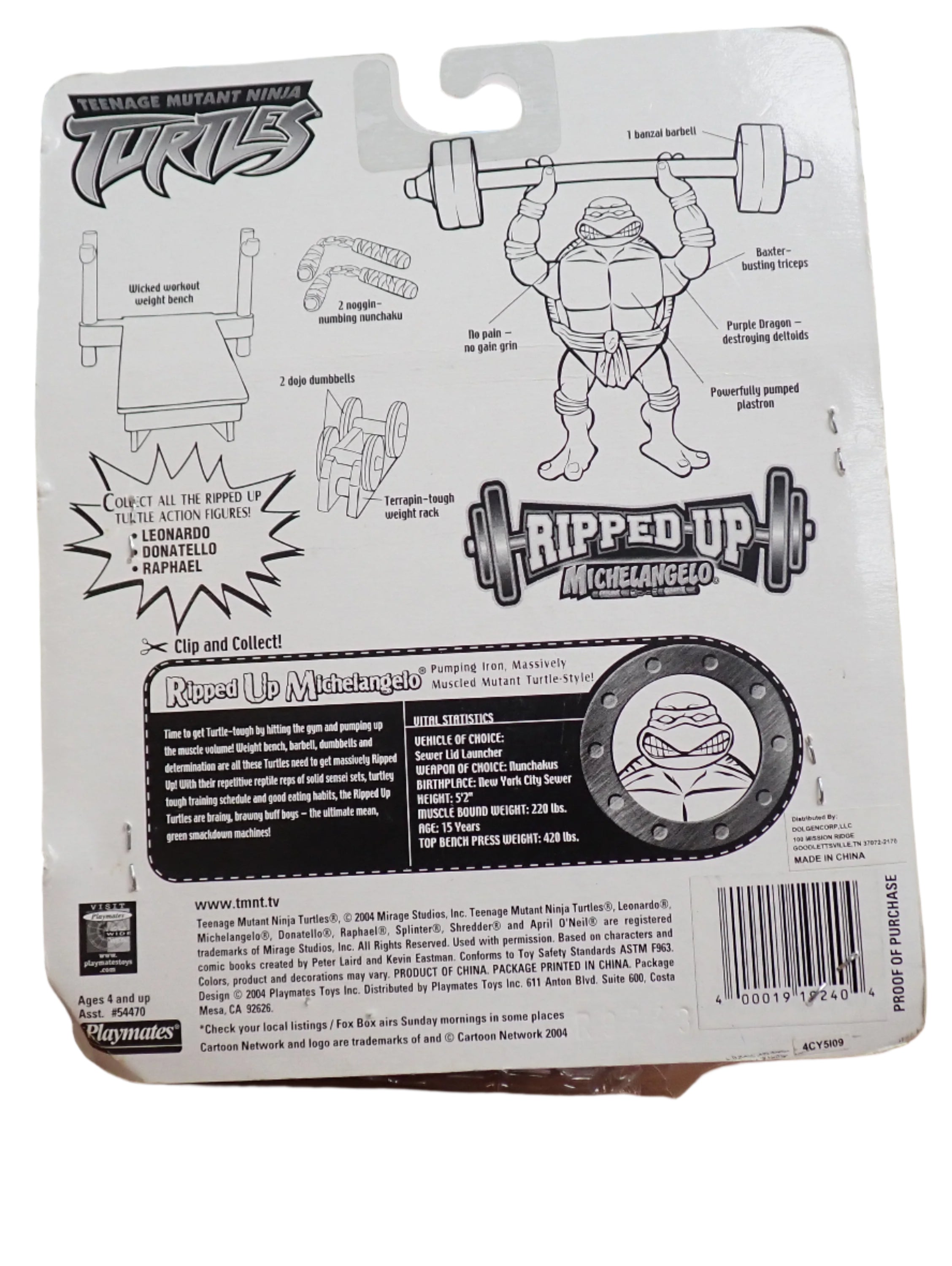 TMNT Ripped Up Michaelangelo (2004)