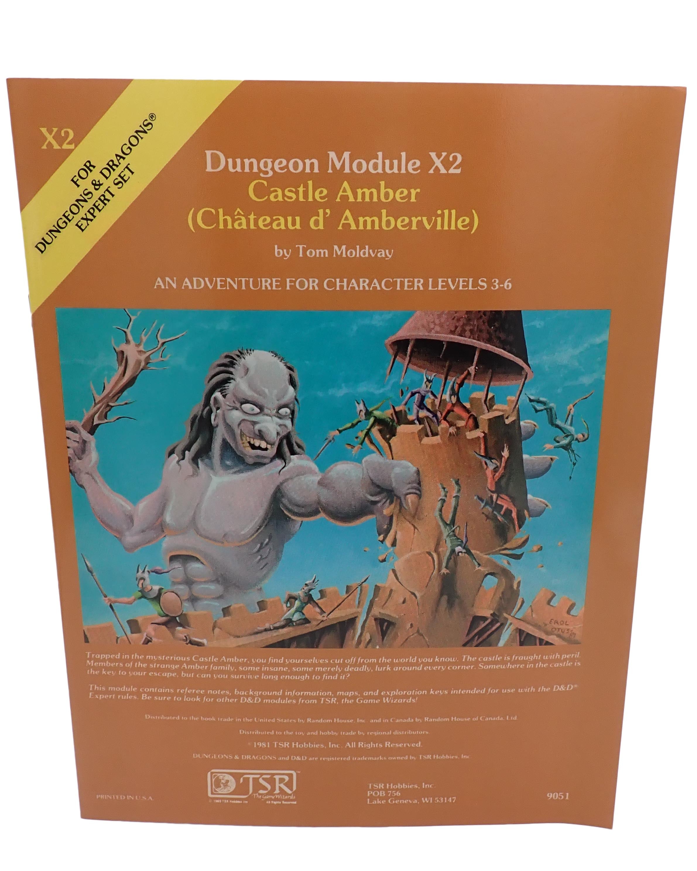 Castle Amber (REPRINT) - AD&D [PRE-OWNED]