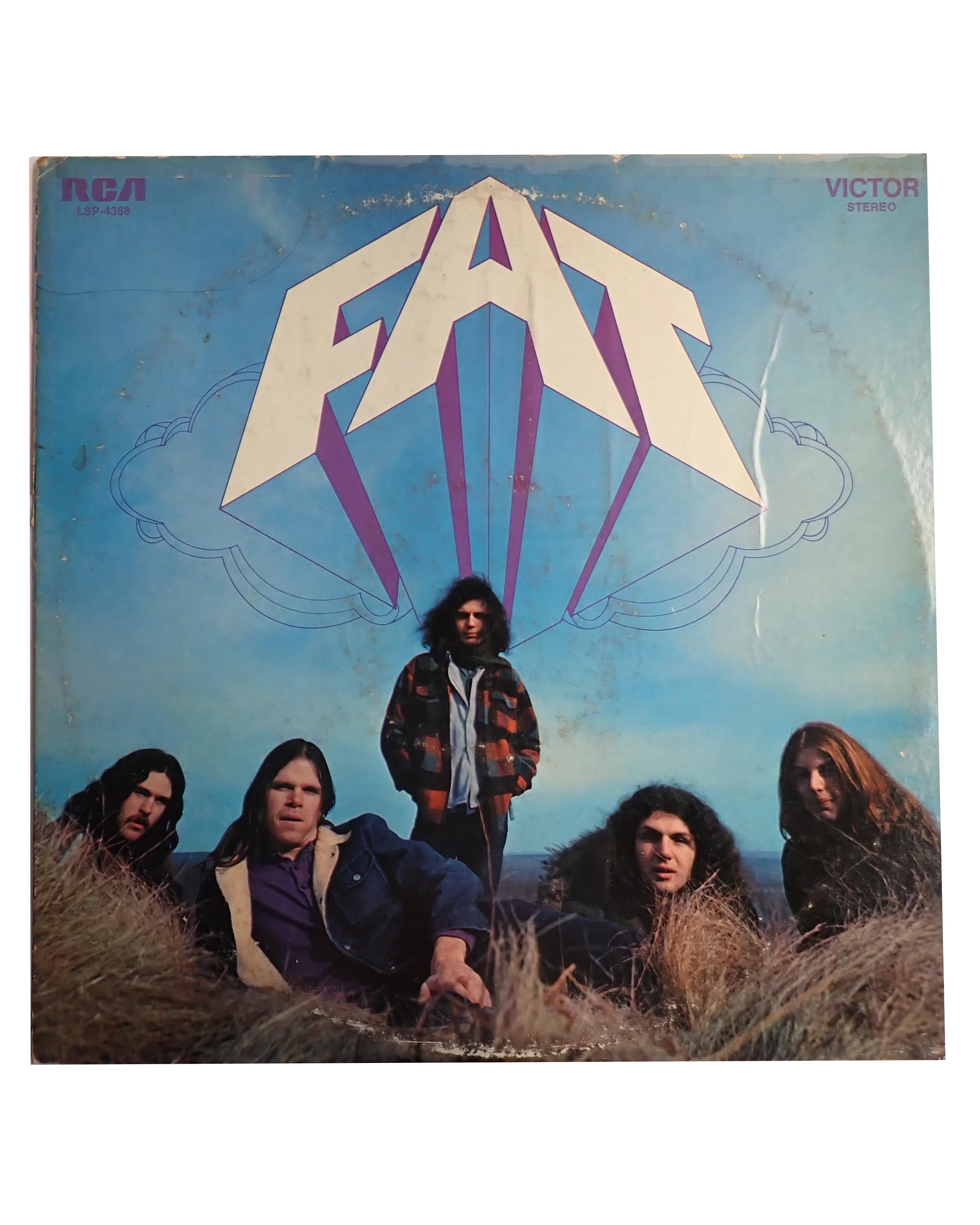 Fat - Vinyl