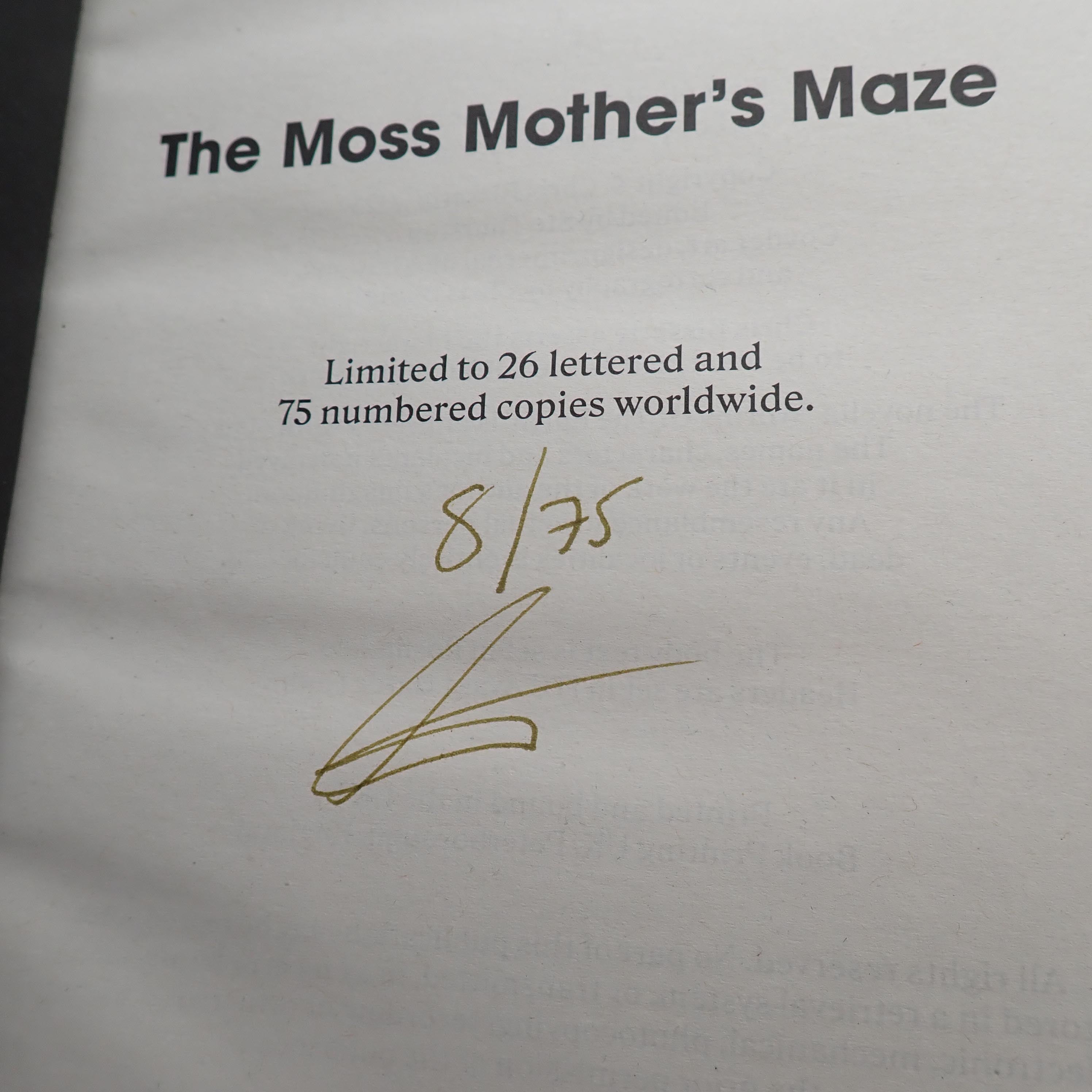 The Moss Mother's Maze - A Dungeon Game [PRE-OWNED]