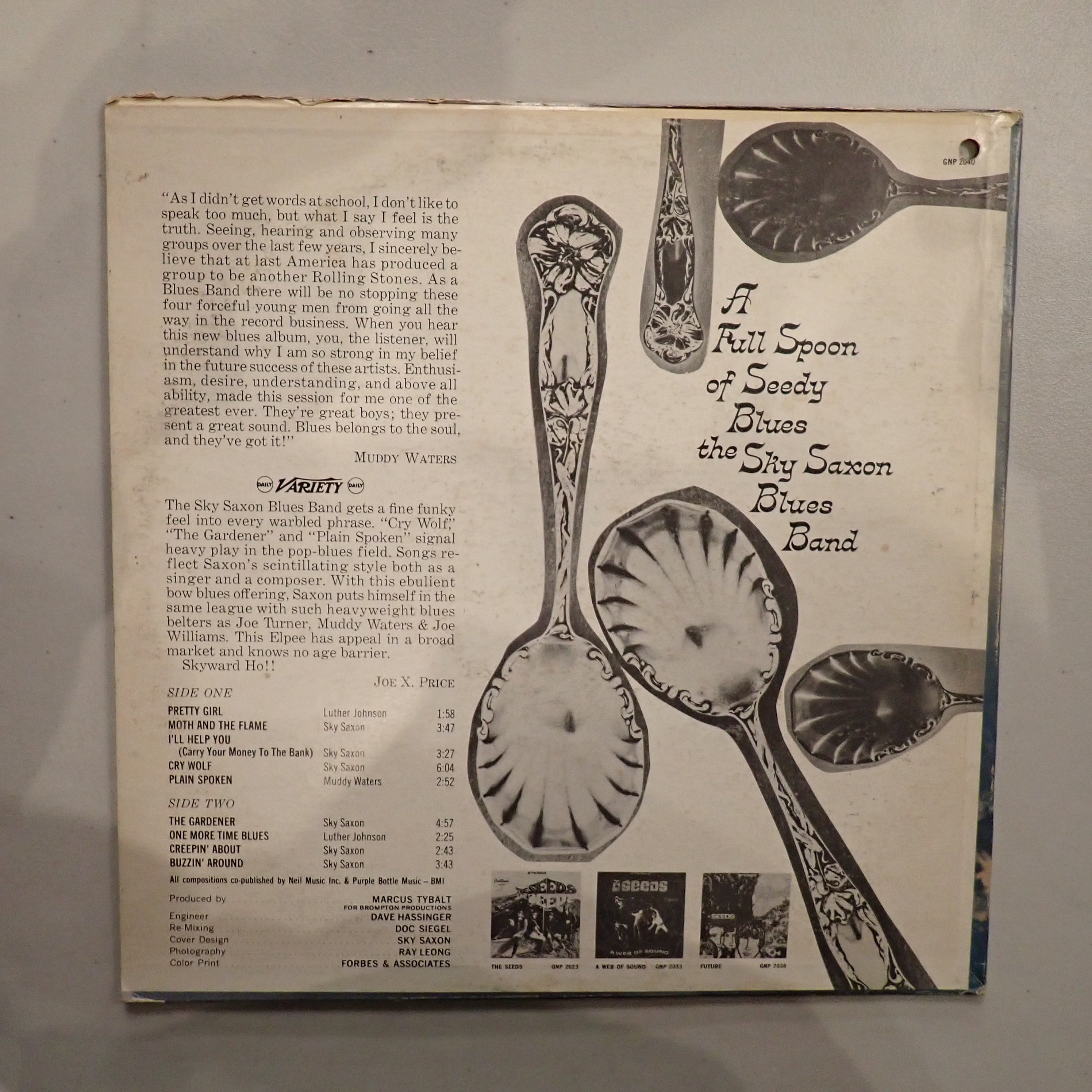 Sky Saxon Blues Band – A Full Spoon Of Seedy Blues