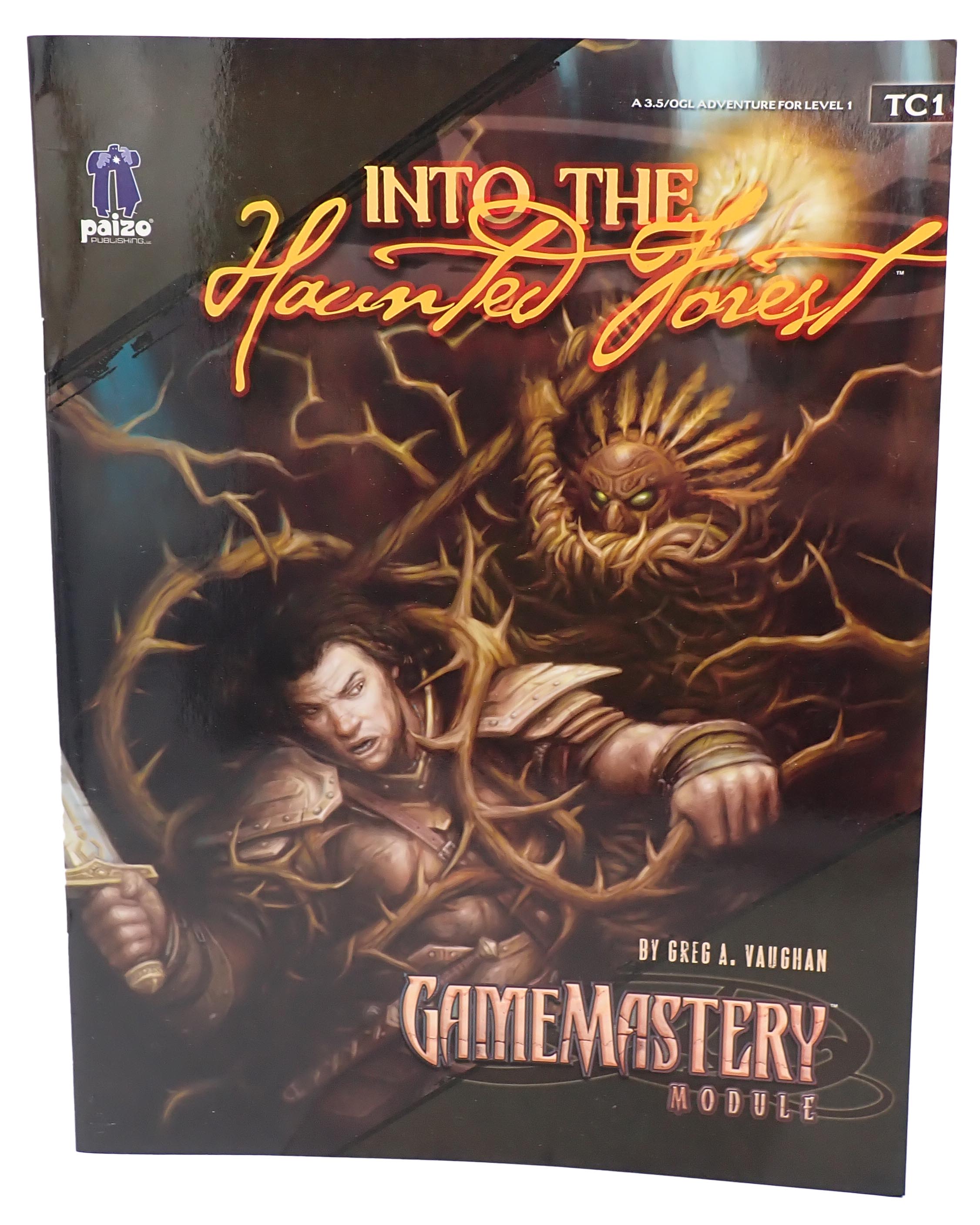 Into the Haunted Forest [Pre-Owned]
