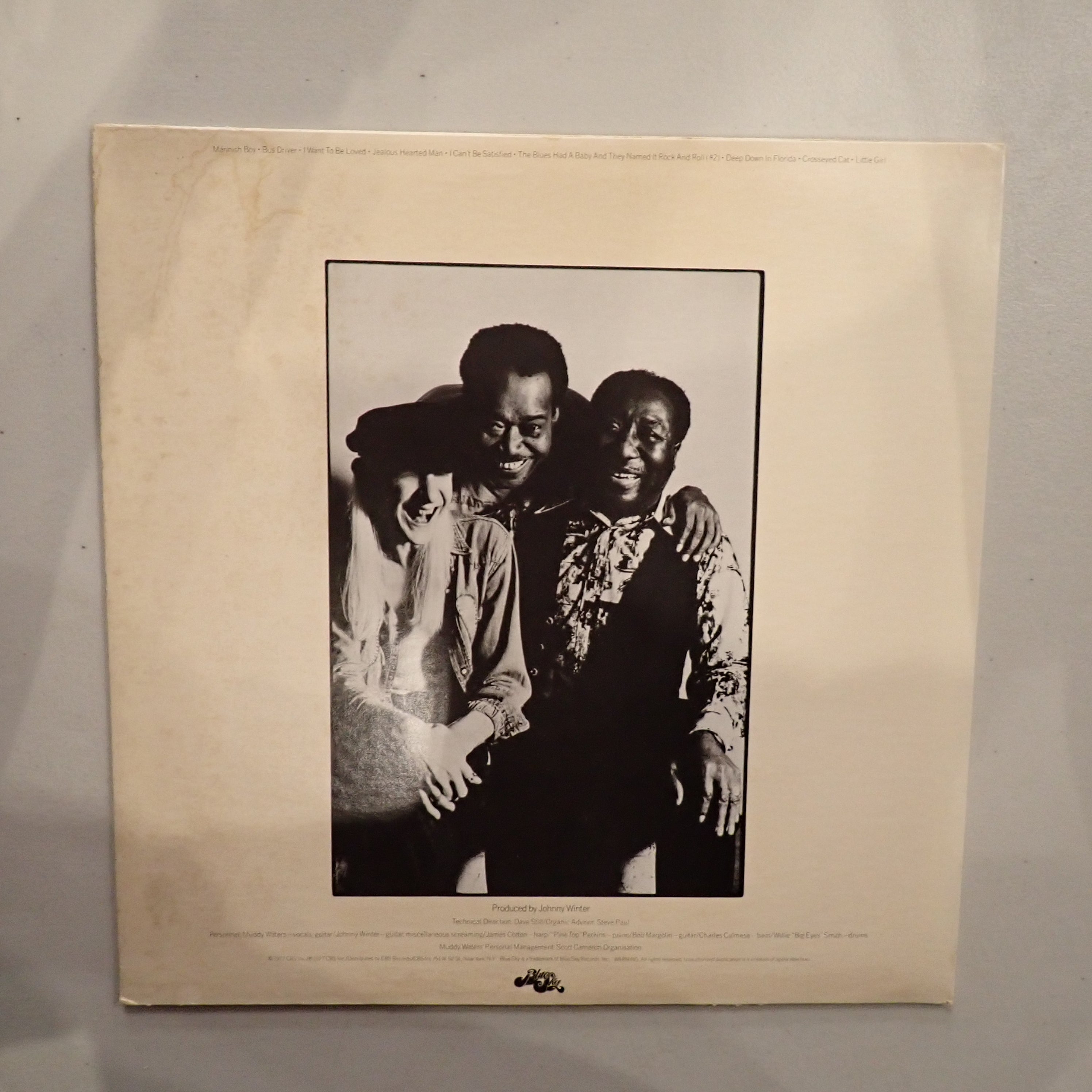 Muddy Waters - Hard Again