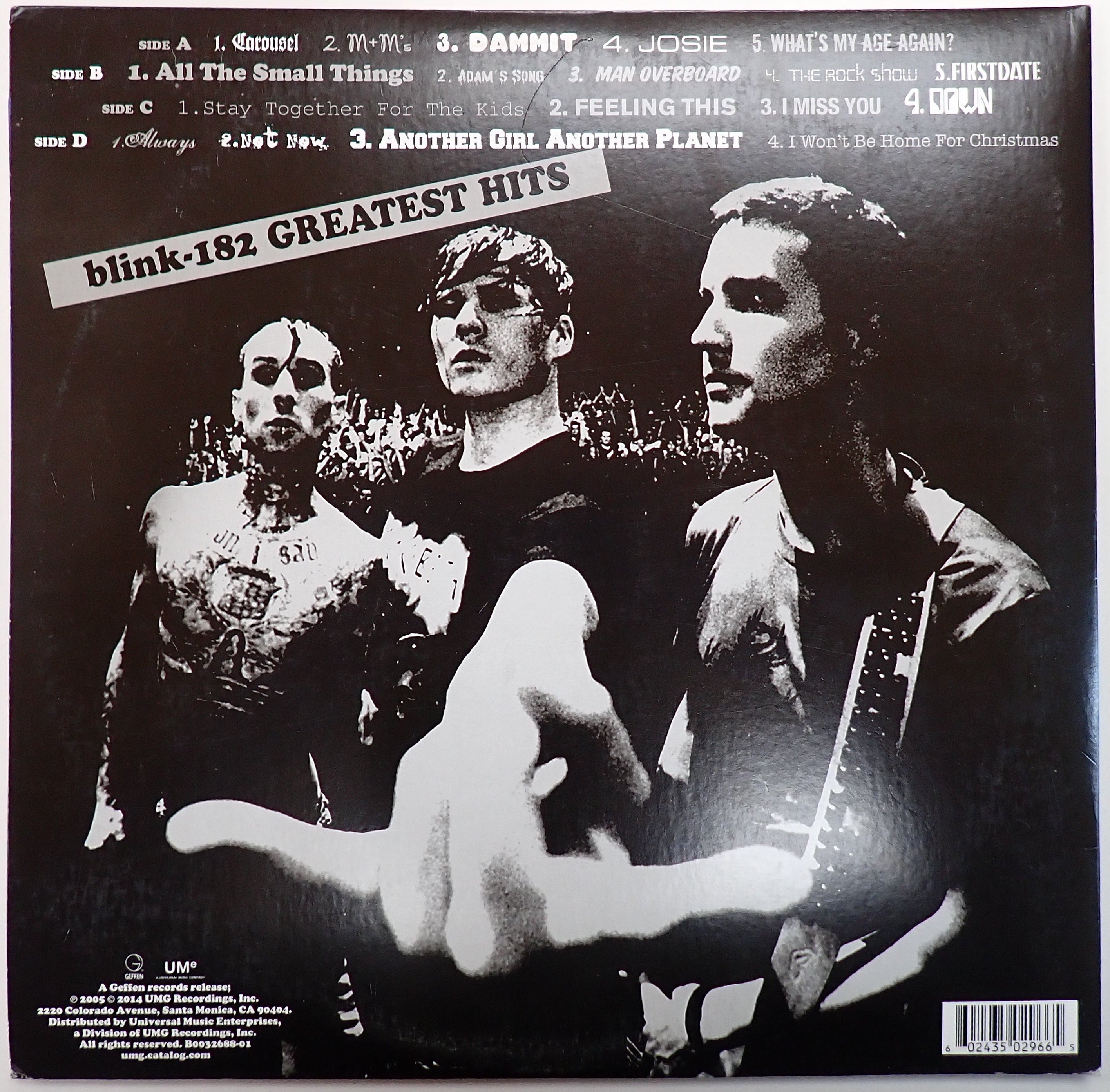 Blink-182 - Greatest Hits - Vinyl Record