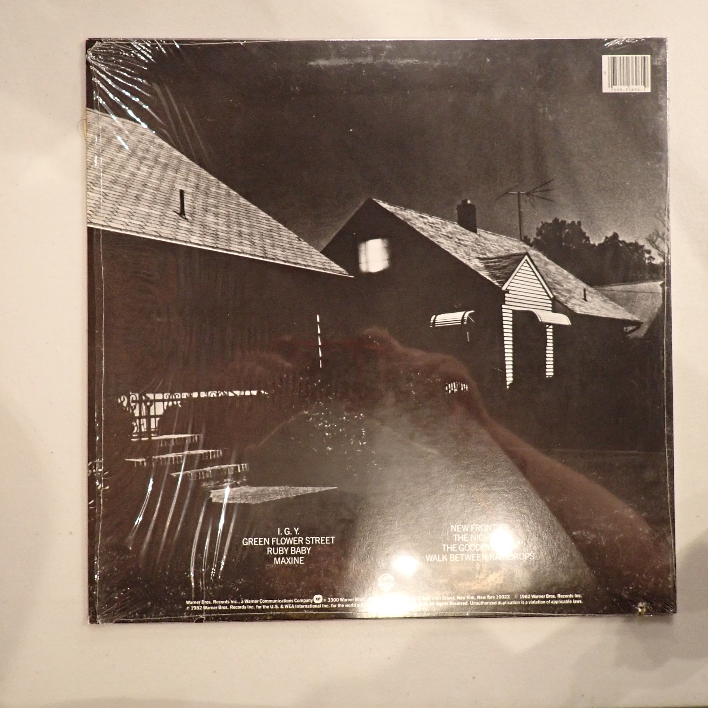 Donald Fagen - The Nightfly