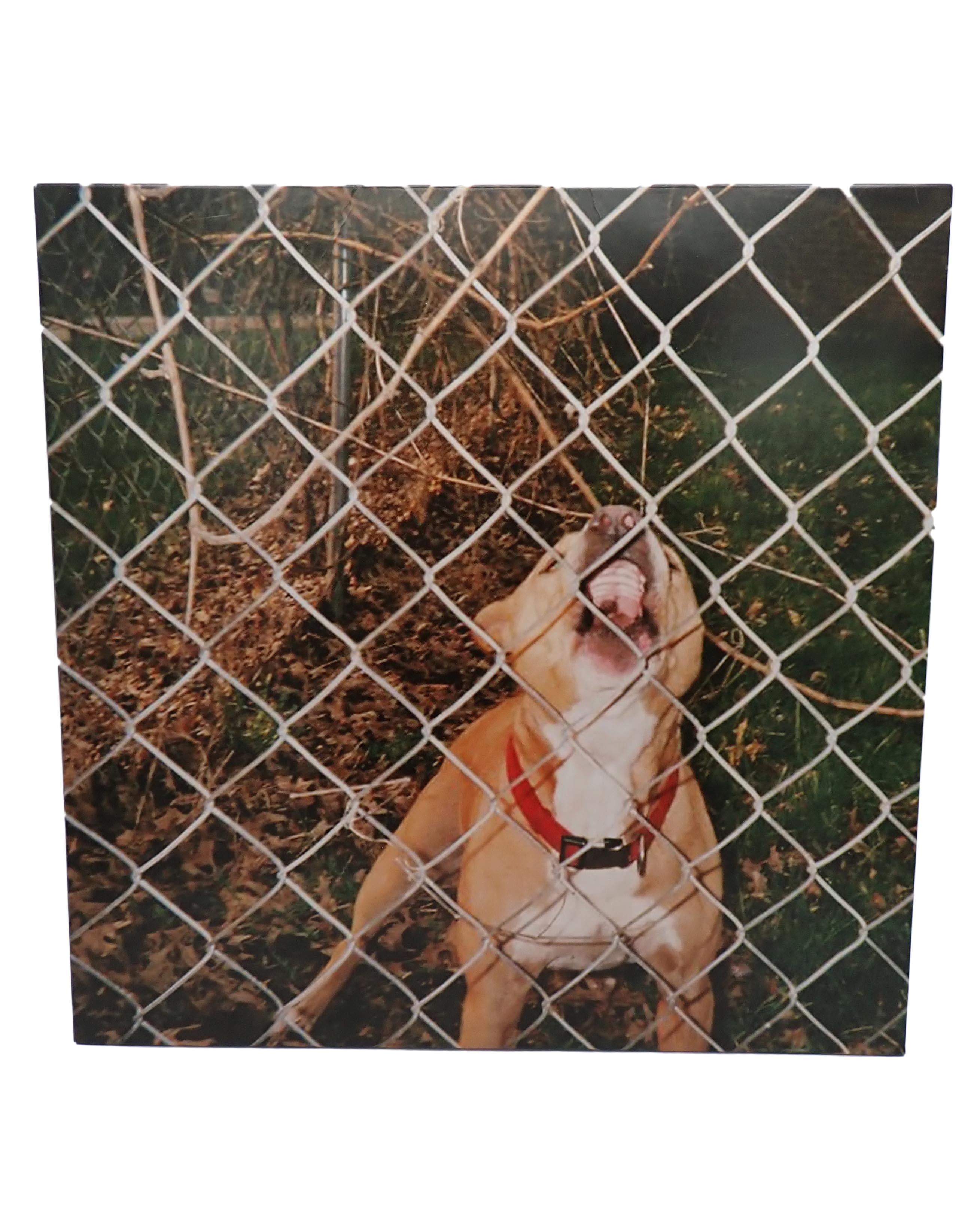 Knocked Loose - Pop Culture - Vinyl [PRE-OWNED]