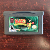 KAO the Kangaroo - GBA