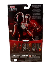 Spider-Man Edge of Spider-Verse - Marvel Legends: Infinite Series - (Pre-Owned)