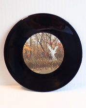Amanda Palmer + The Grand Theft Orchestra – Polly - Vinyl [Pre-Owned]