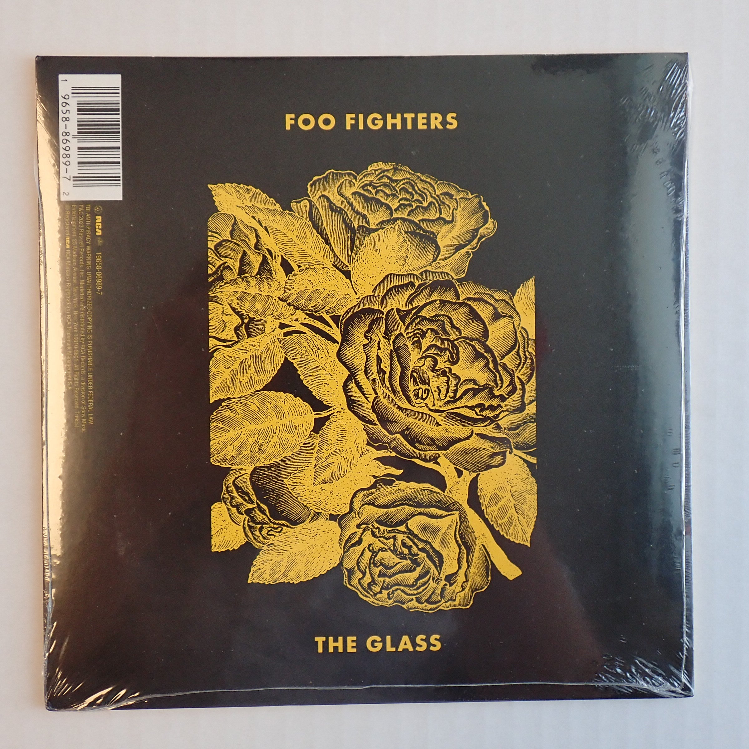 H.E.R. & Foo Fighters – The Glass - Vinyl