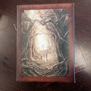 The Lord of the Rings: The Motion Picture Trilogy - DVD