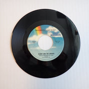 Danny And The Juniors - At The Hop/Rock And Roll Is Here To Stay - Vinyl [PRE-OWNED]