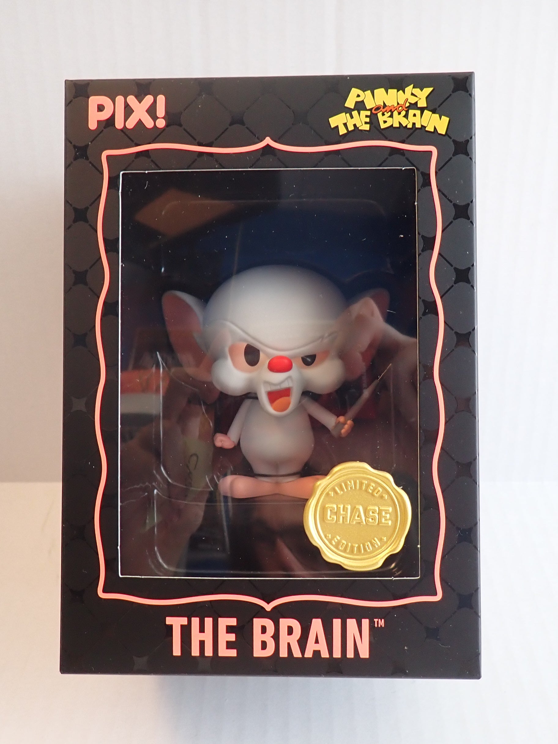 The Brain - PIX!