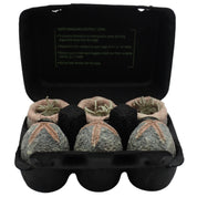 LV-426 Cage Free Xenomorph Eggs