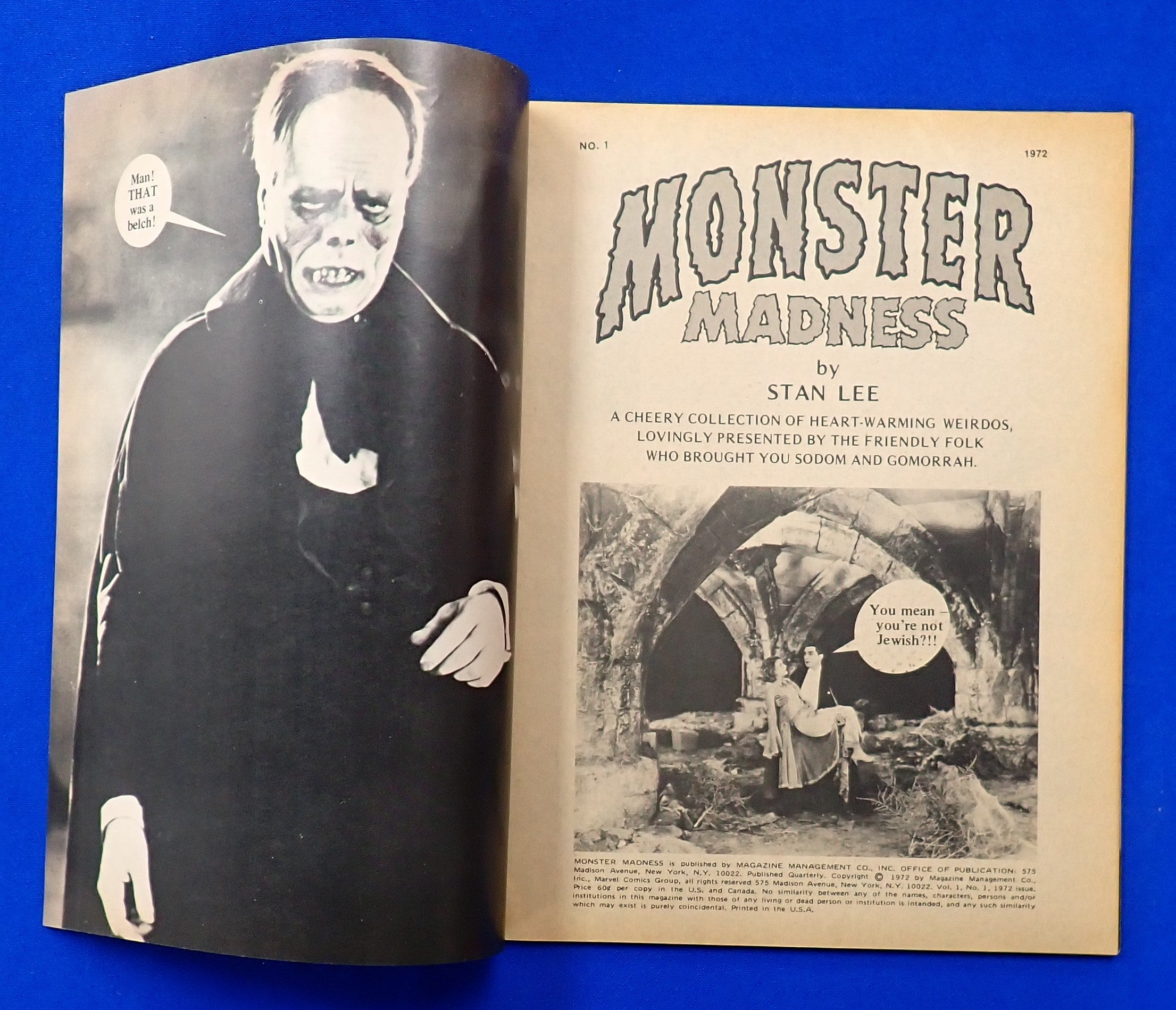 Monsters Madness #1 (1972) by Stan Lee - FN+ (6.5) - Softcover Magazine [Pre-Owned]