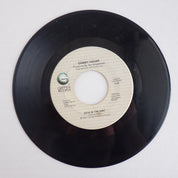 Sammy Hagar - Dick in the Dirt / I Can't Drive - Vinyl