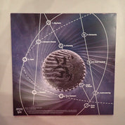 Despize – For Real Pioneers