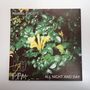 Abe Vigoda – Animal Ghosts - Vinyl