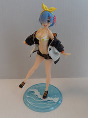 Summer Rem [Pre-Owned]