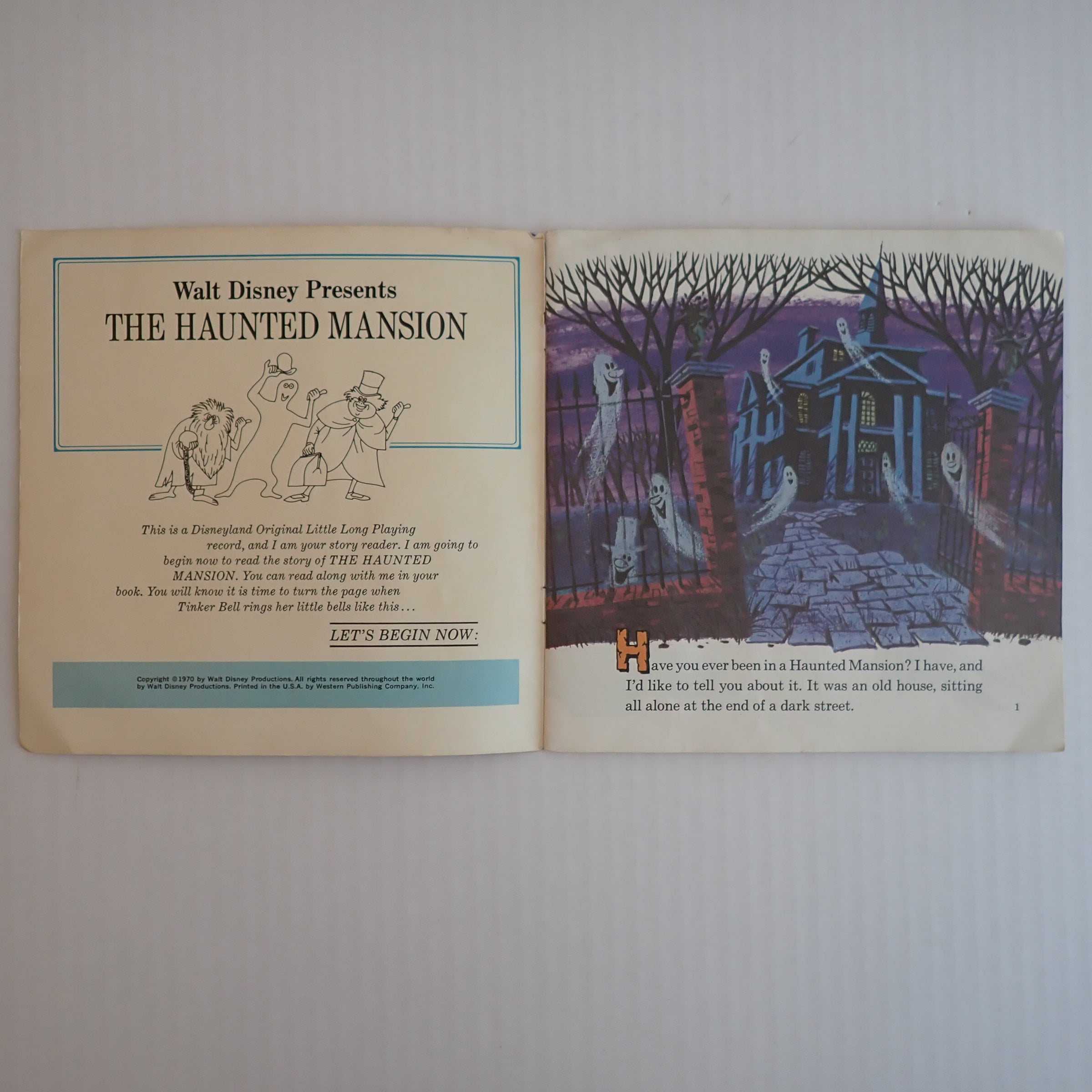 Disneyland - Walt Disney's The Haunted Mansion - Vinyl
