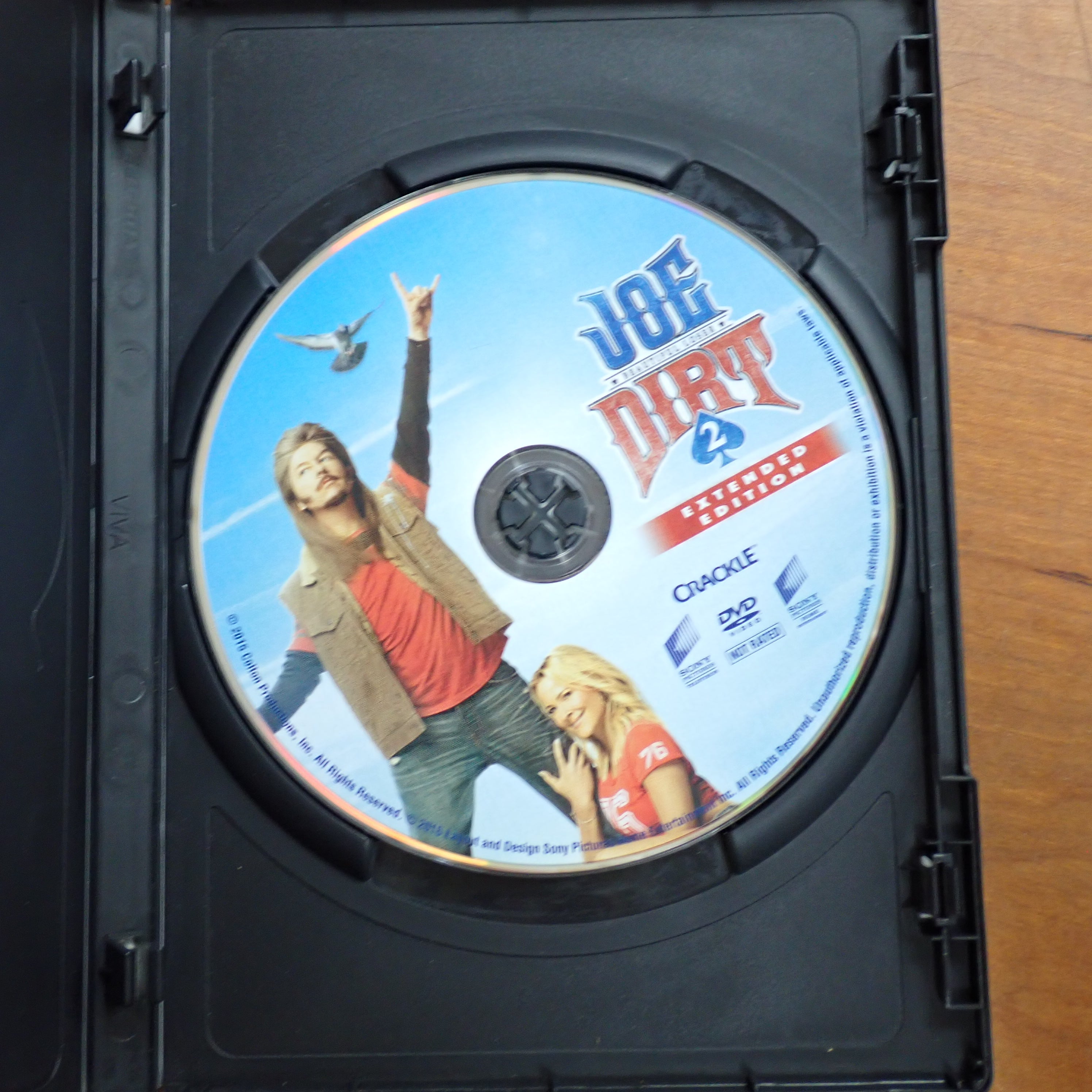 Joe Dirt 2: Beautiful Loser - DVD