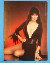 Elvira Mistress of Darkness #1 (1988) - VF/NM (9.0)