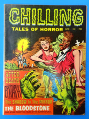 Chilling Tales of Horror #1 (6.5) (1996)