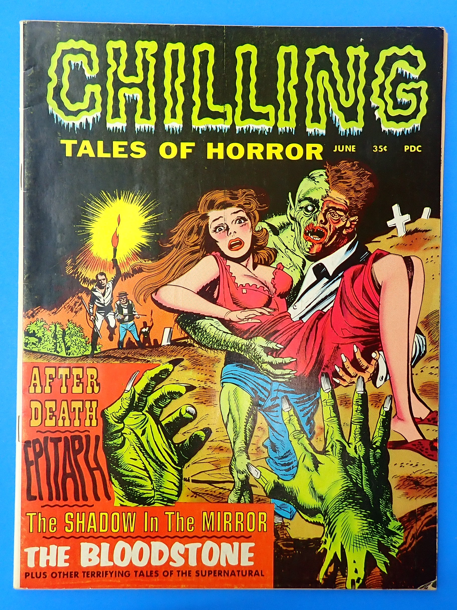 Chilling Tales of Horror #1 (6.5) (1996)