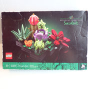 Succulents [10309]