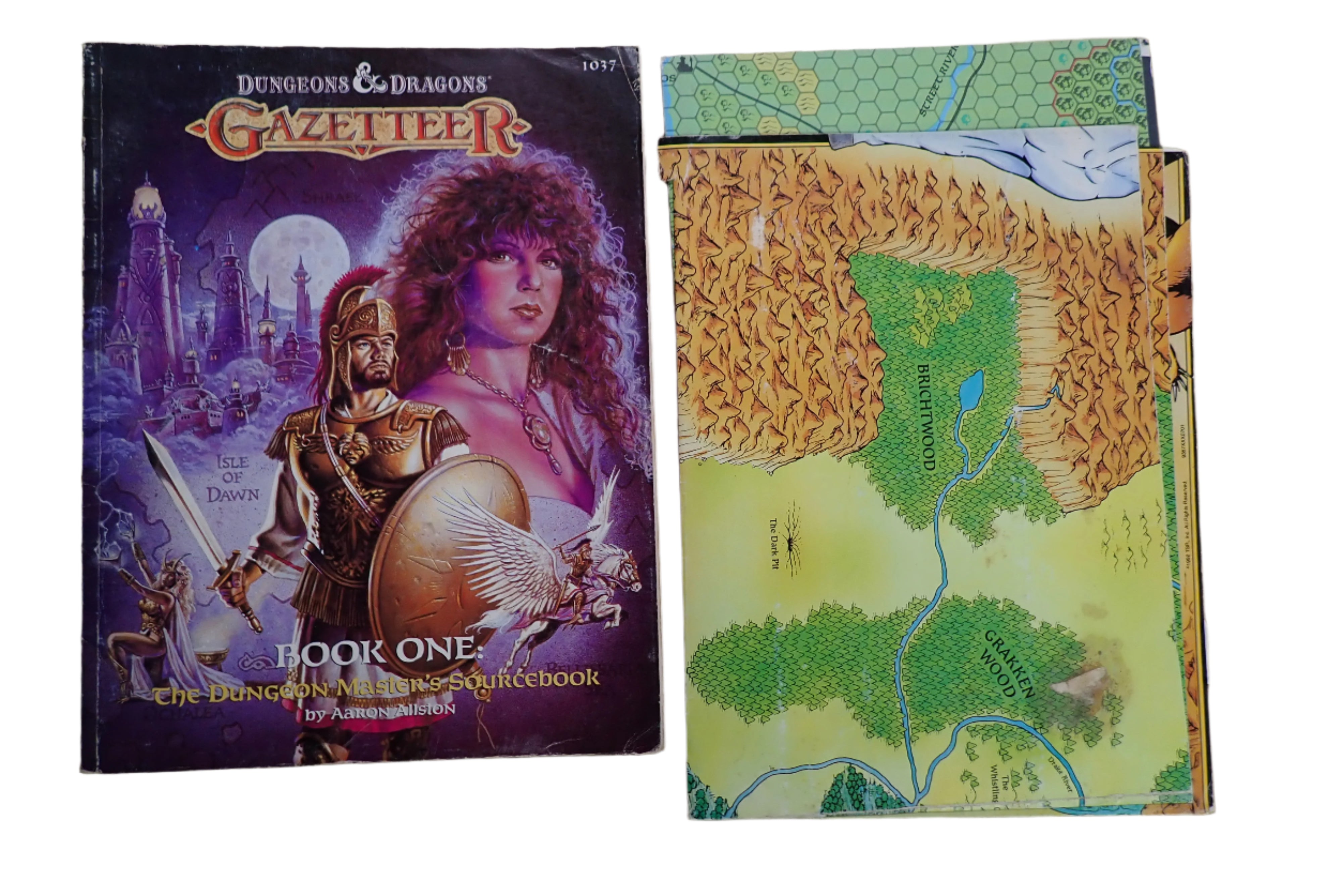 D&D Gazetteer Book One: The Dungeon Master's Sourcebook + Two Maps (USED)