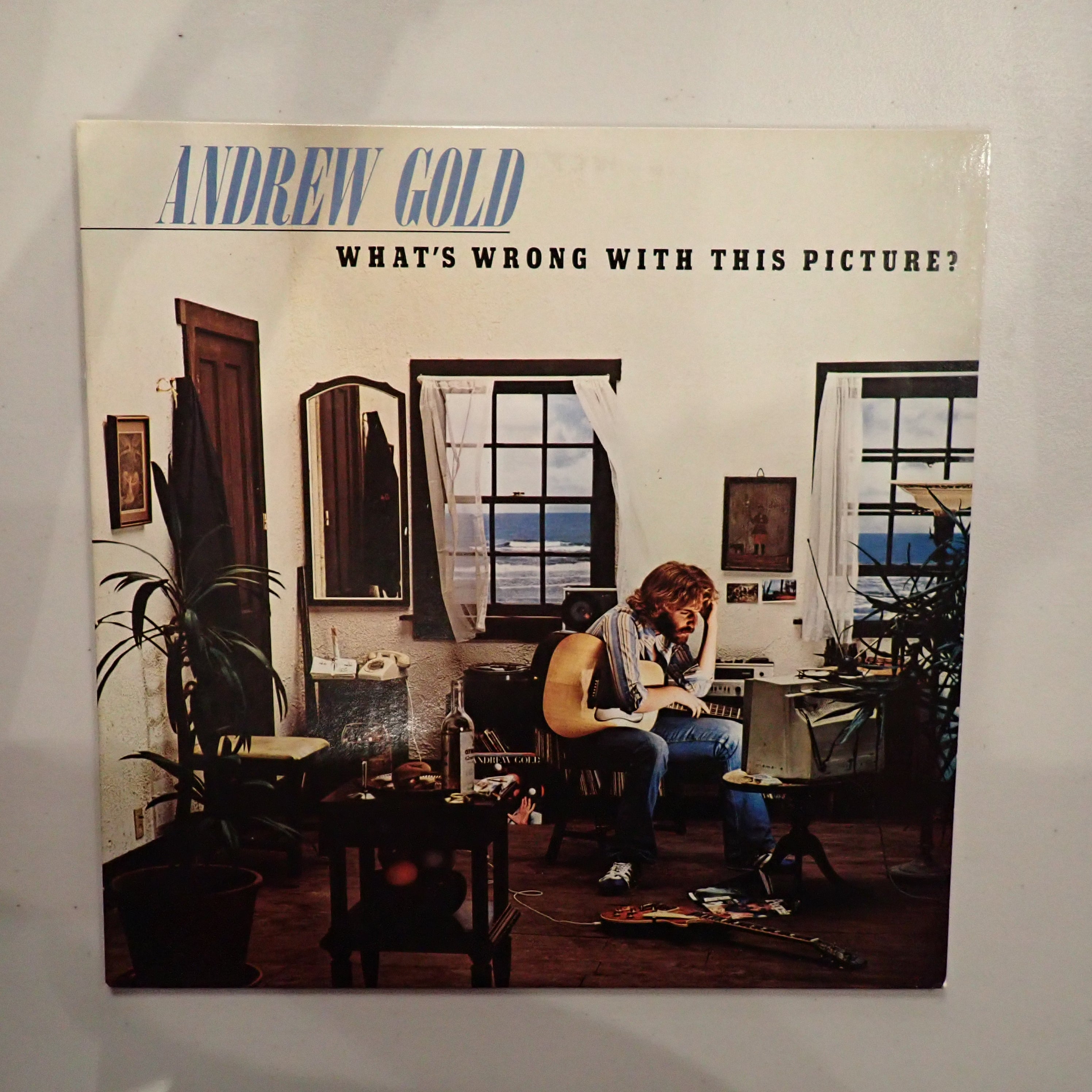 Andrew Gold – What's Wrong With This Picture?