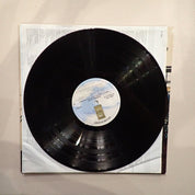 Andrew Gold – What's Wrong With This Picture?