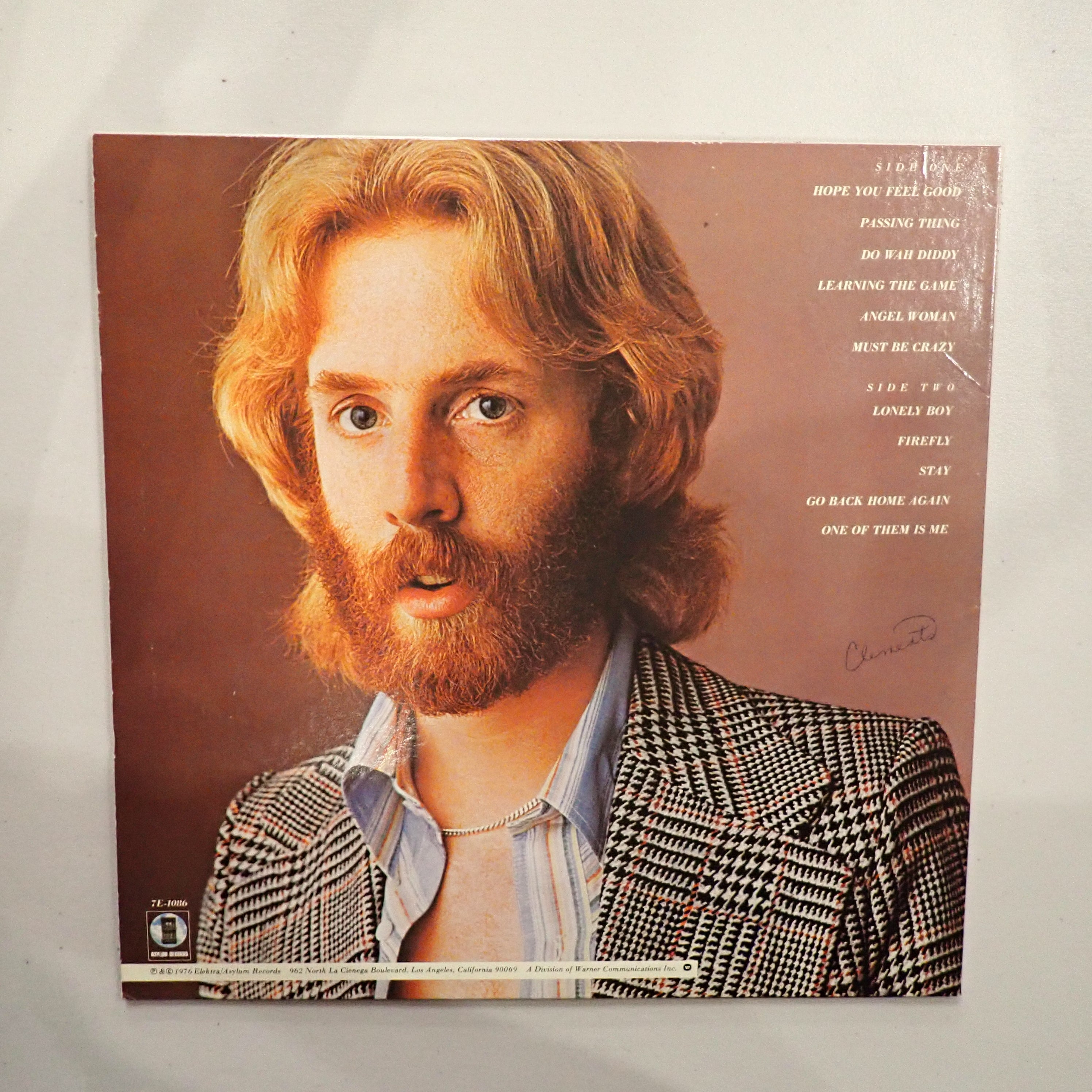 Andrew Gold – What's Wrong With This Picture?
