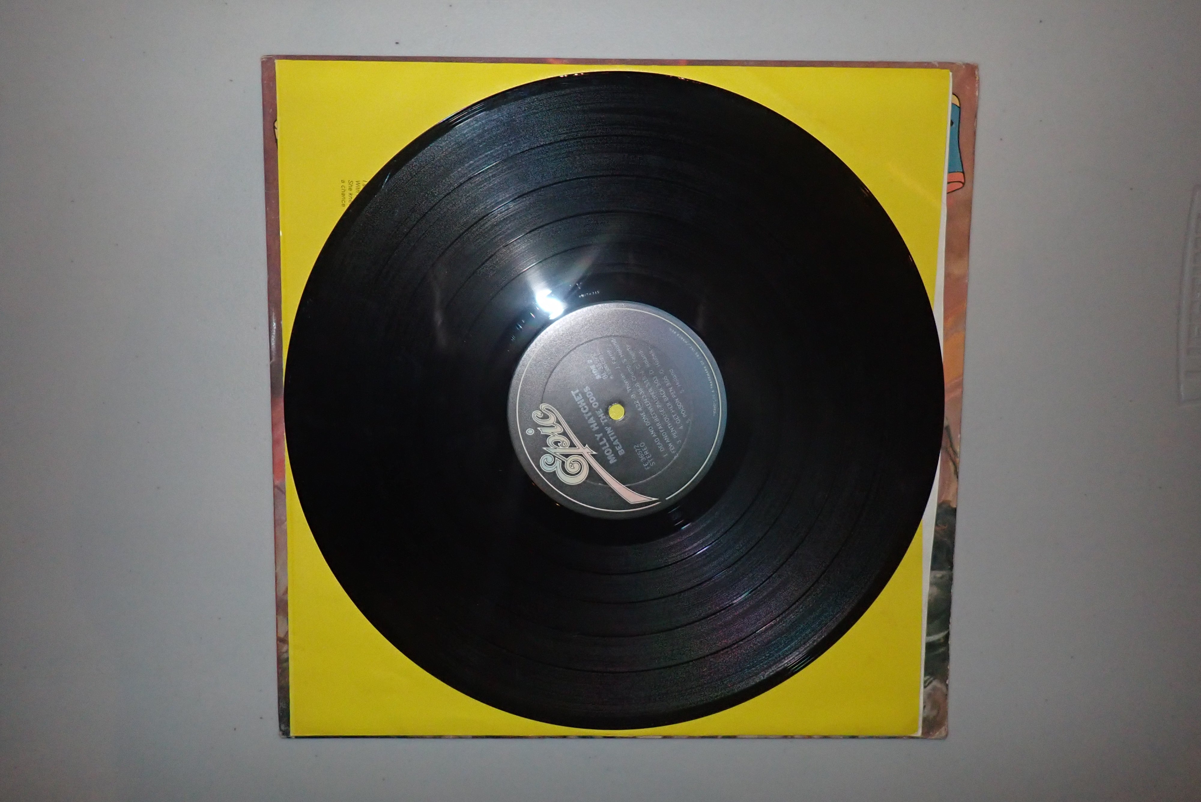 Molly Hatchet – Beatin' The Odds