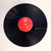 Hank Williams, Jr.'s Greatest Hits - Vinyl