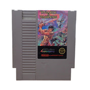 Wizards & Warriors - NES
